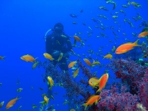 Caribbean yacht charters on Tiger's Eye Yacht