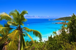 Luxury Yacht Charters