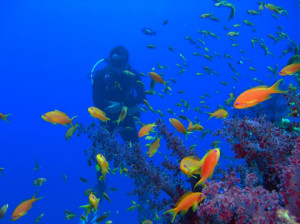 Luxury Yacht Charters in the BVI